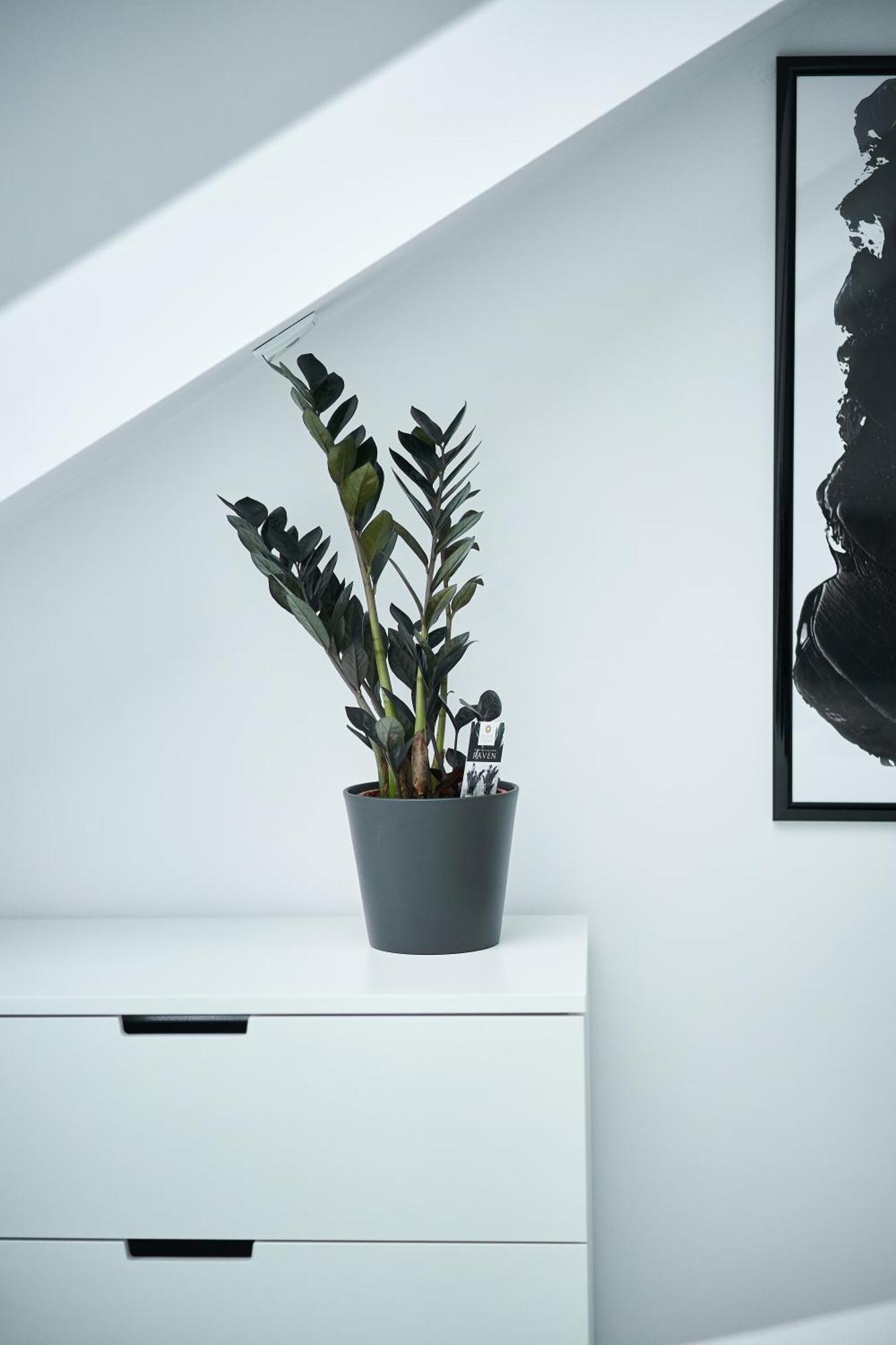 Unique Design Loft In Middle Of Centre Of Old Town With Netflix Daire Krakow Dış mekan fotoğraf